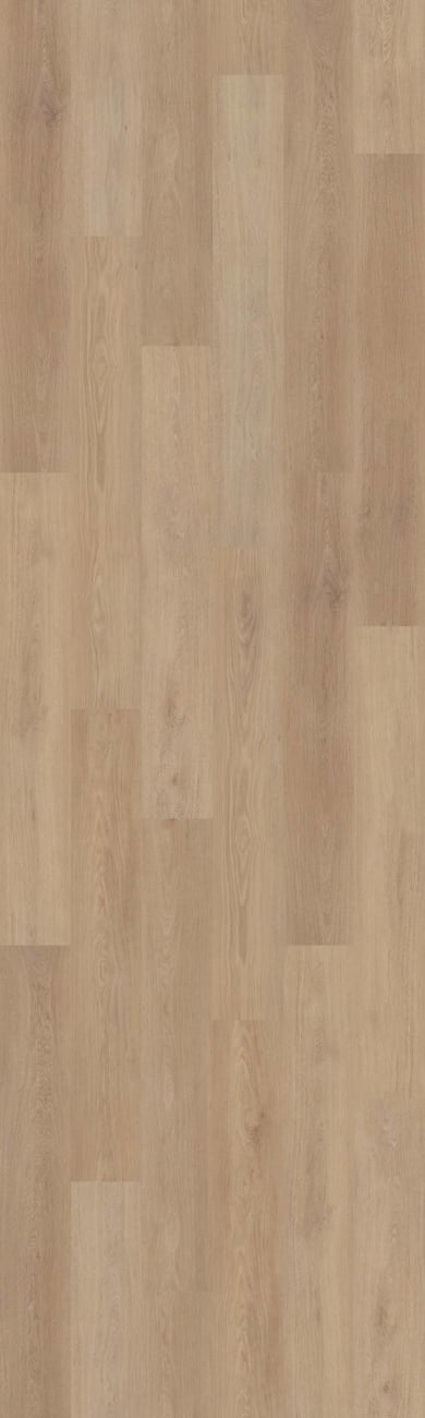 02156_3128V - Shaw Pet Perfect - Briard - Wheat Oak