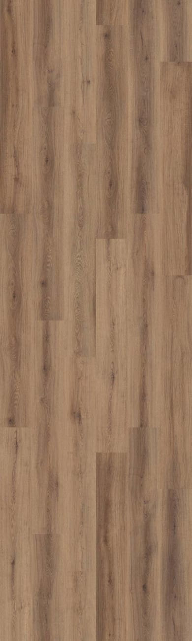 07385_3128V - Shaw Pet Perfect - Briard - Coffee Oak
