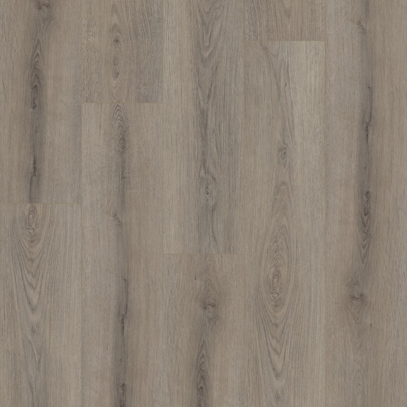 05219_0278V - Shaw Floorte Pro - Paladin Plus - Ashen Brown