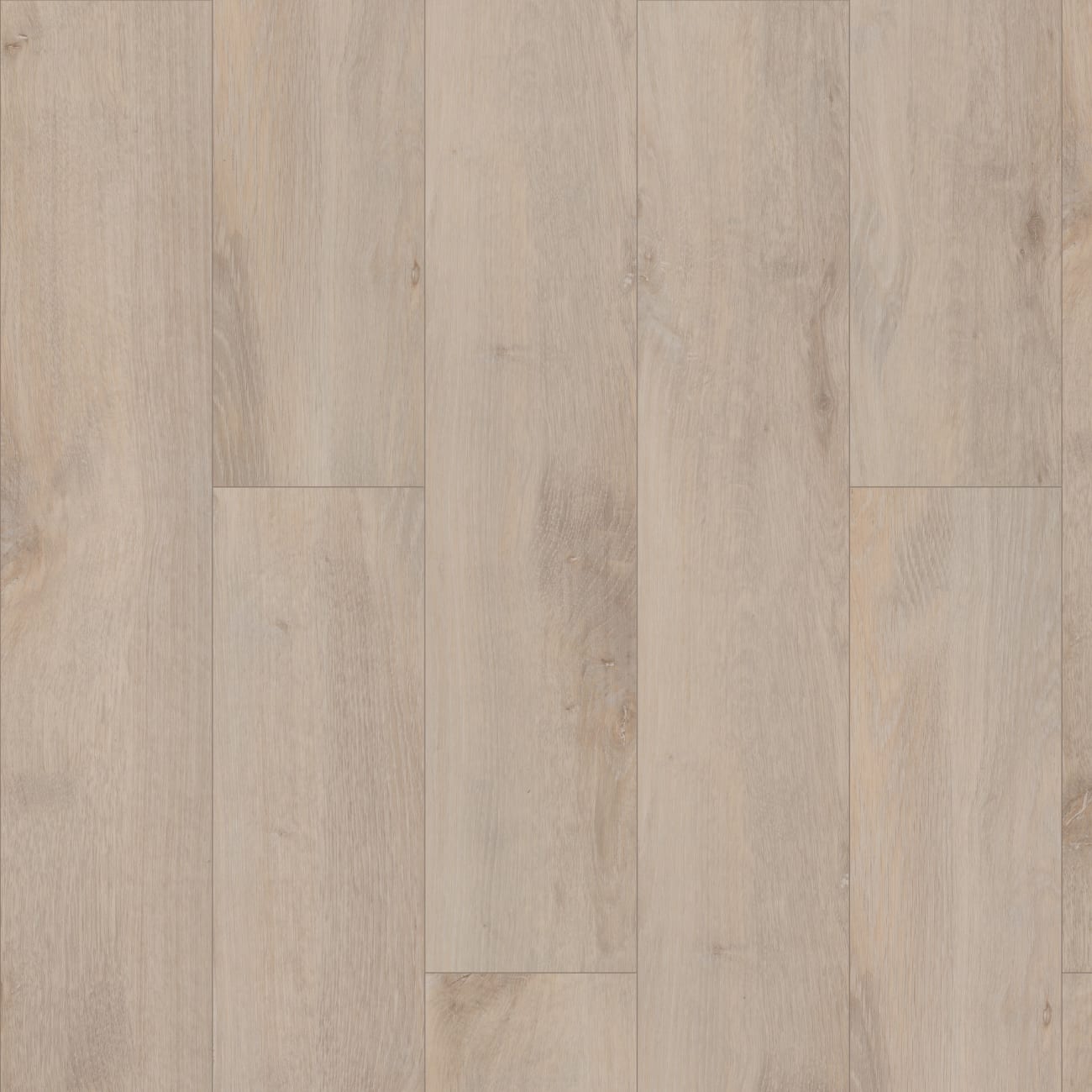 01031-2019V - Shaw Floorte Pro - Allegiance Plus Accent - Riverside