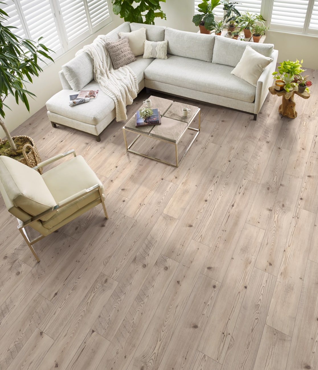 01036-2019V - Shaw Floorte Pro - Allegiance Plus Accent - Prestique Pine