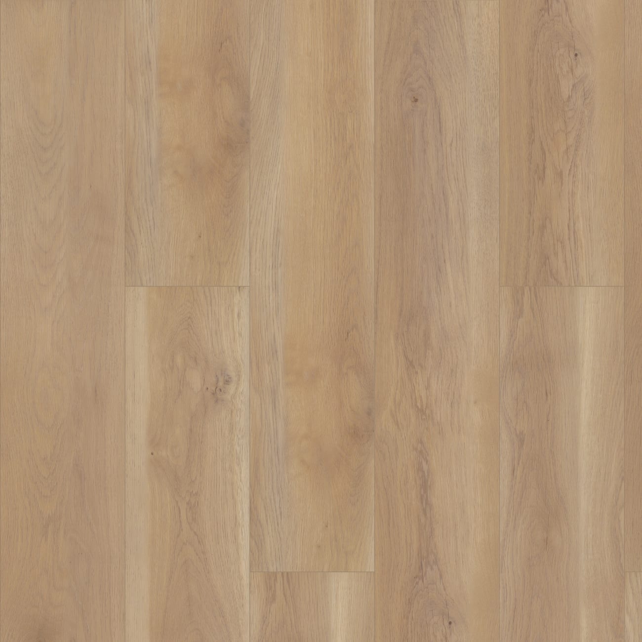 02050-3038V - Shaw Floorte Pro - Paragon HD Plus Natural Bevel - Edgemont
