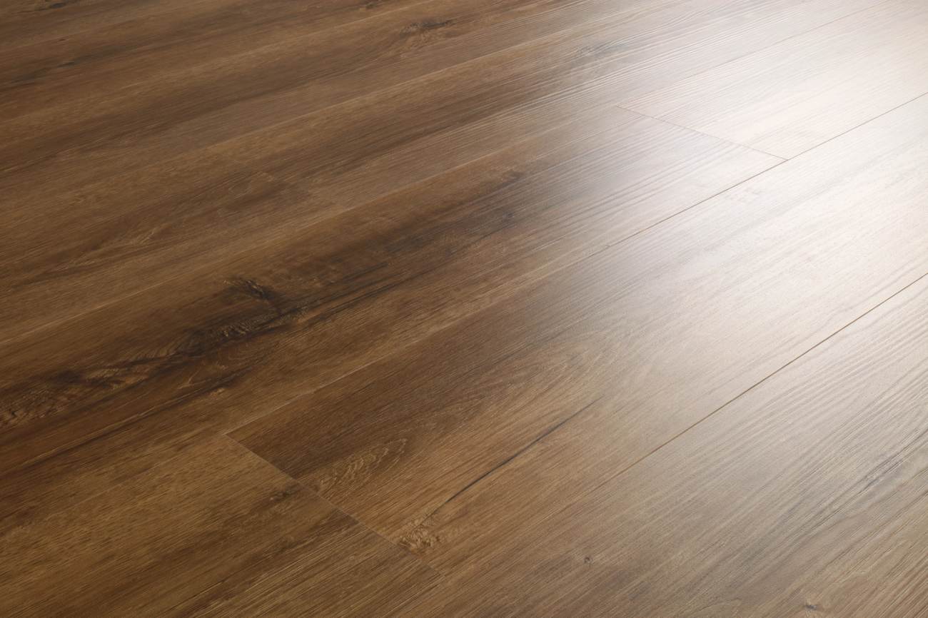 3800V_00849 - Shaw Pet Perfect - Maltese - Garnet Oak