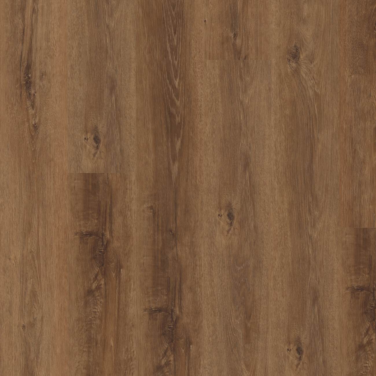 3800V_00849 - Shaw Pet Perfect - Maltese - Garnet Oak