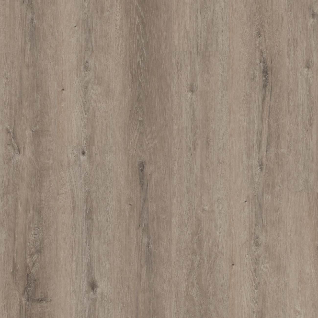 3800V_05298 - Shaw Pet Perfect - Maltese - Quarry Oak