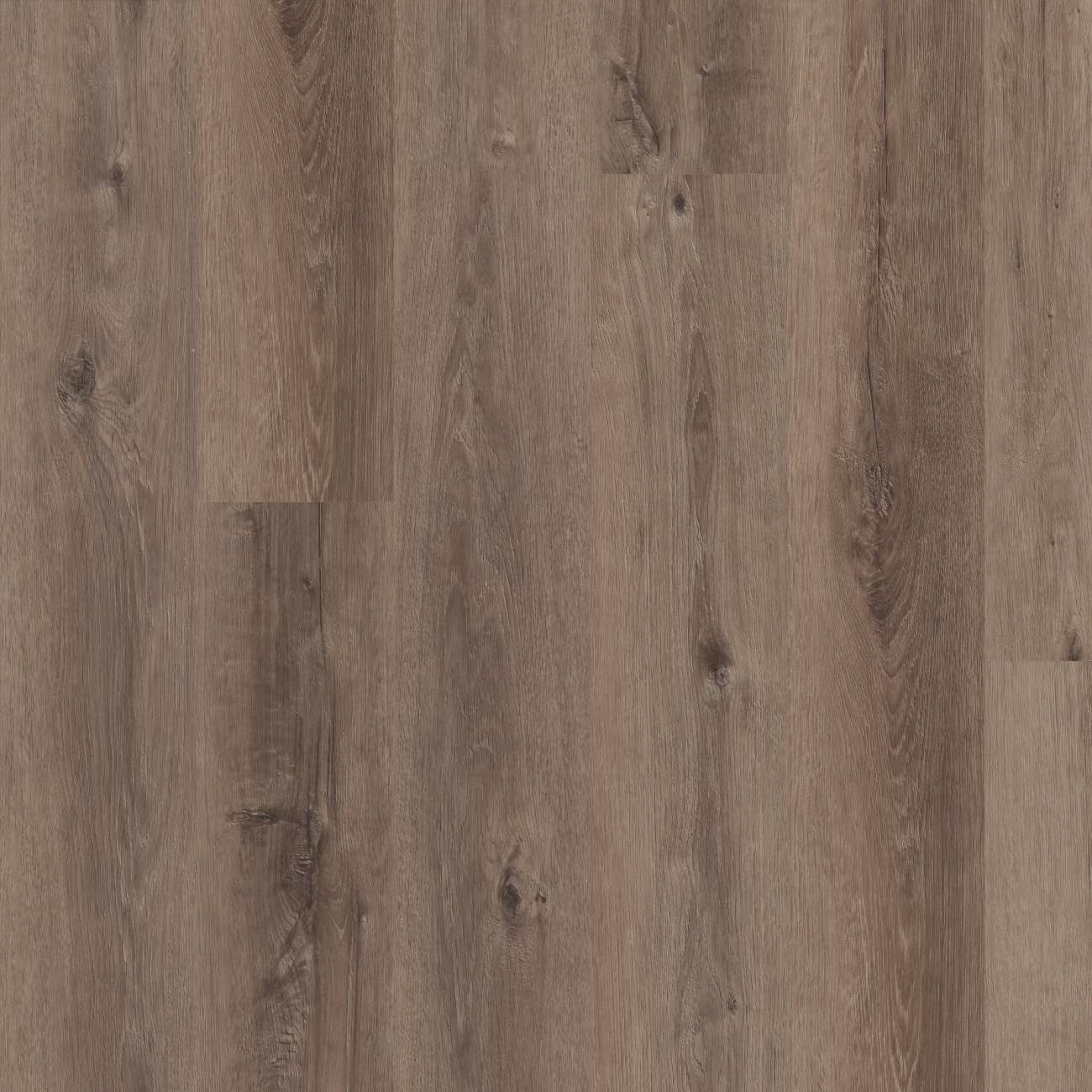 3800V_07411 - Shaw Pet Perfect - Maltese - Cinder Oak