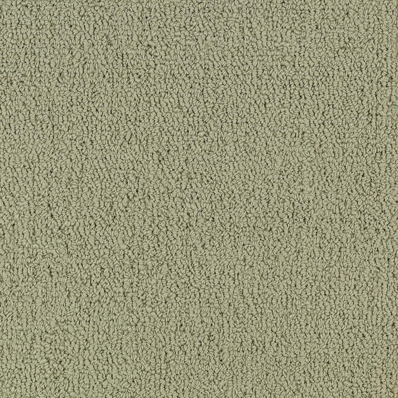 54462_62104 - Philadelphia Contract - Color Accents - Light Taupe
