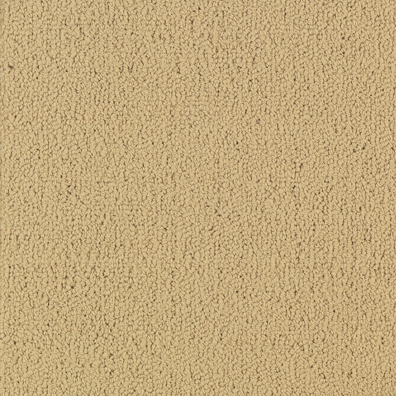 54462_62122 - Philadelphia Contract - Color Accents - Flax