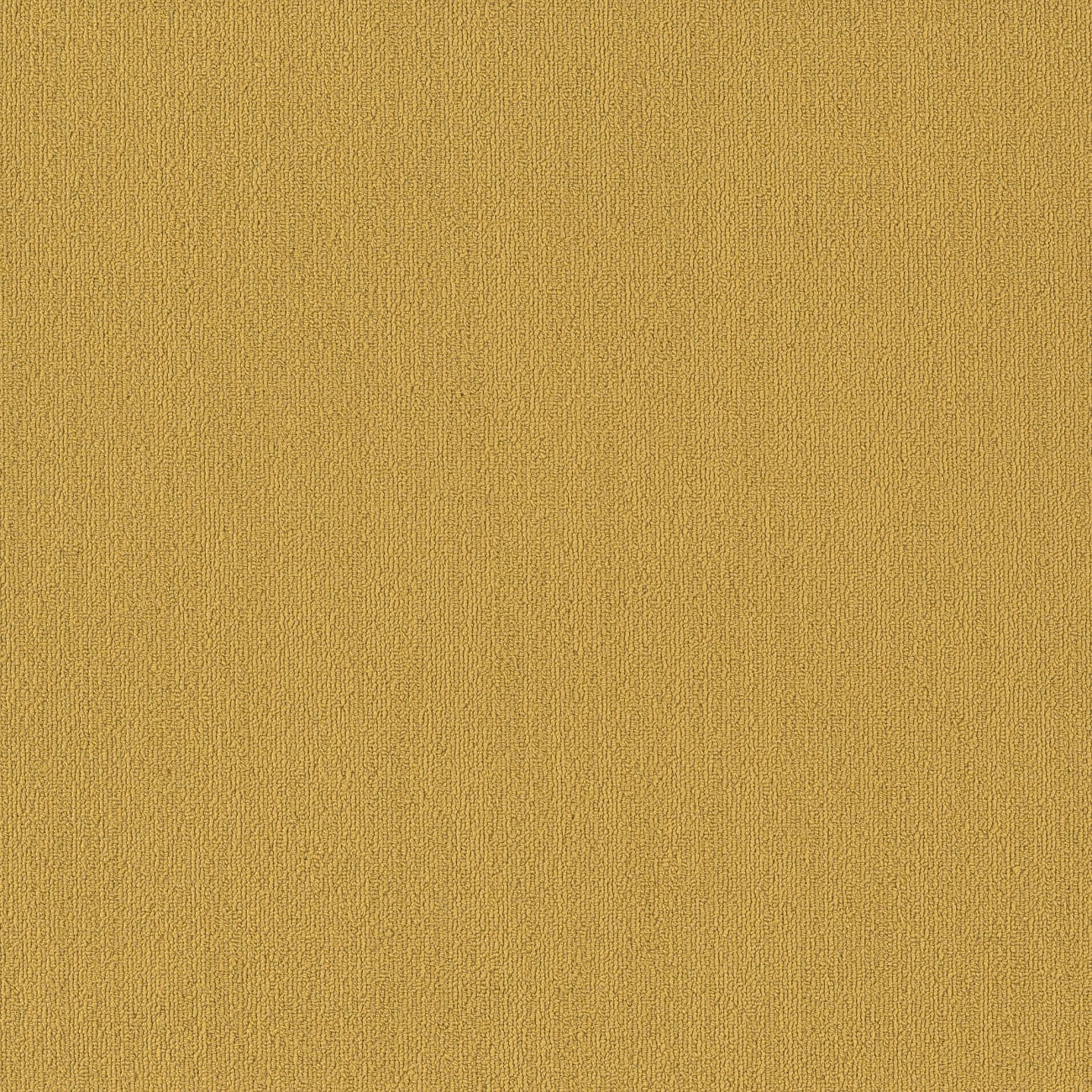 54462_62210 - Philadelphia Contract - Color Accents - Ochre