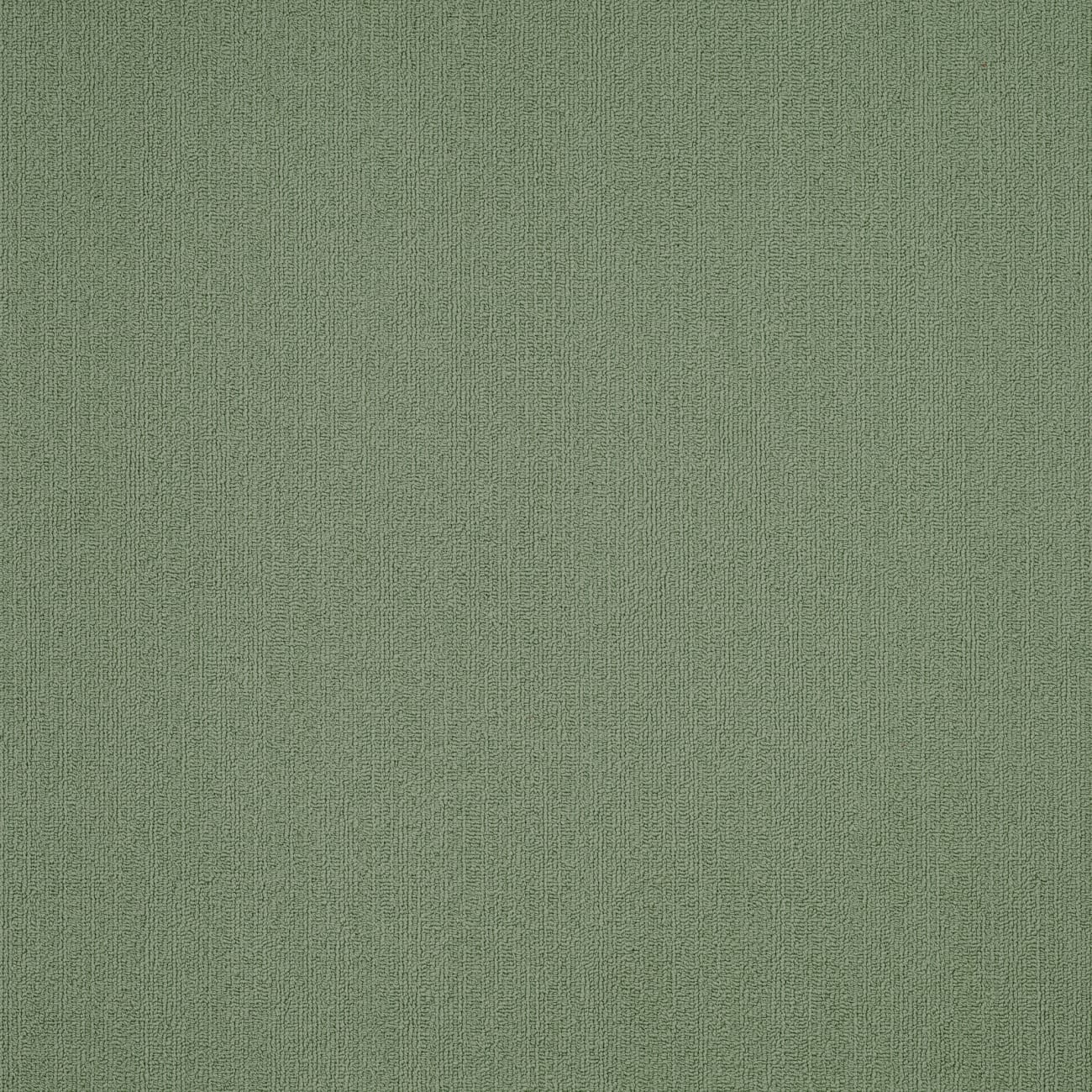 54462_62310 - Philadelphia Contract - Color Accents - Foliage