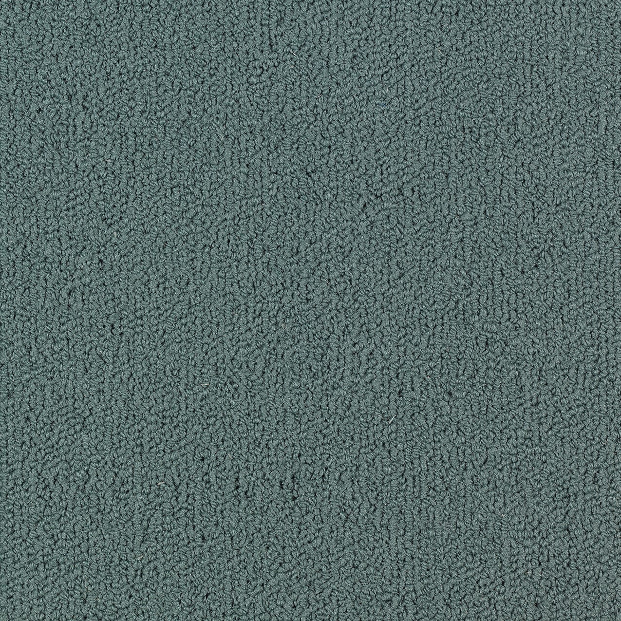 54462_62447 - Philadelphia Contract - Color Accents - Nordic