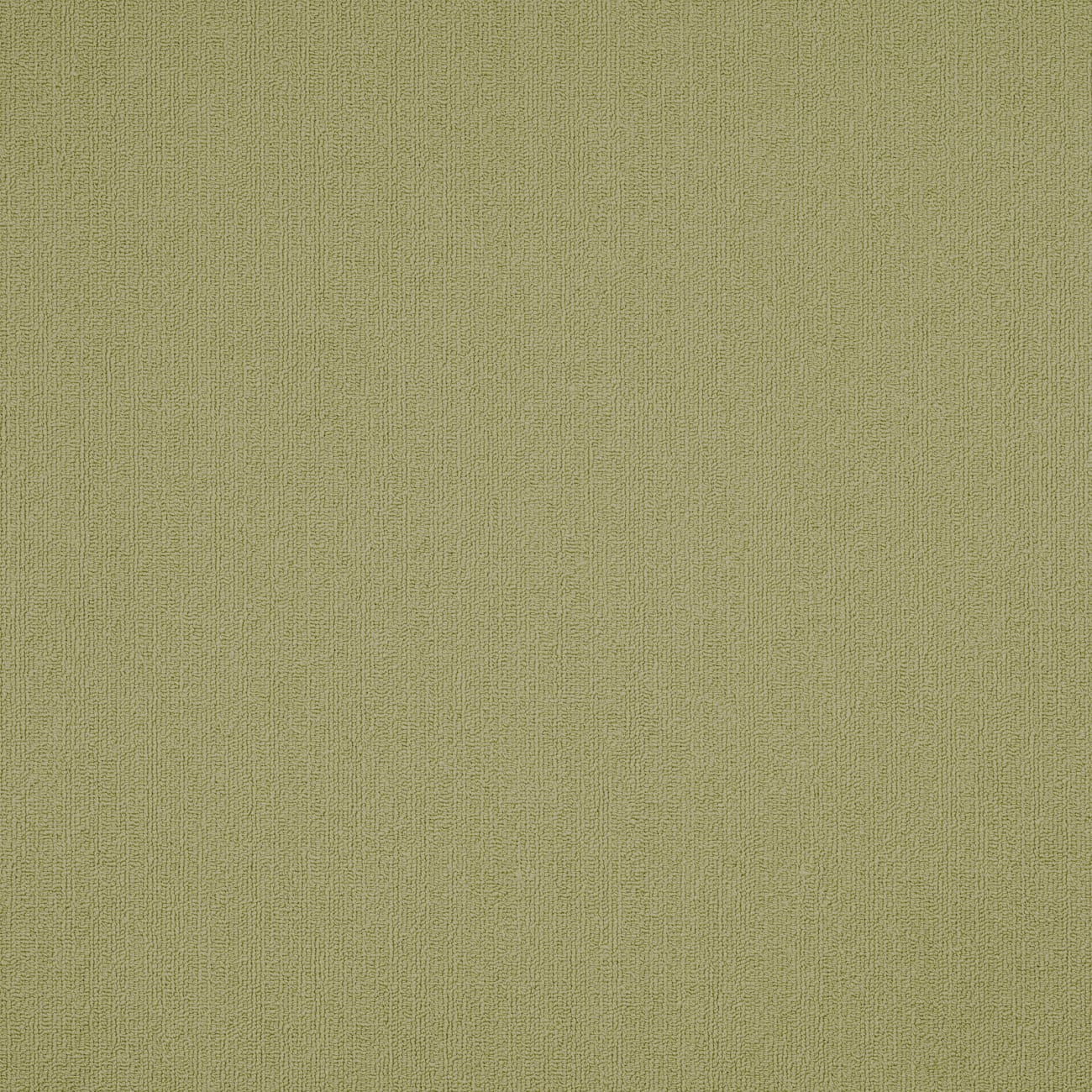 54462_62545 - Philadelphia Contract - Color Accents - Fescue