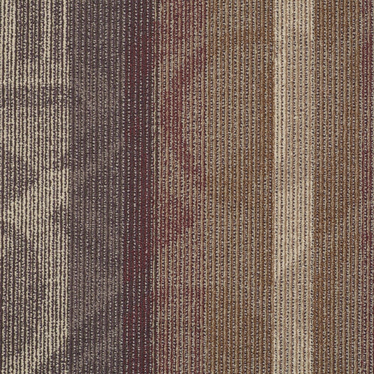 54565_00902 - Philadelphia Contract - Interference Collection - Feedback - Echo