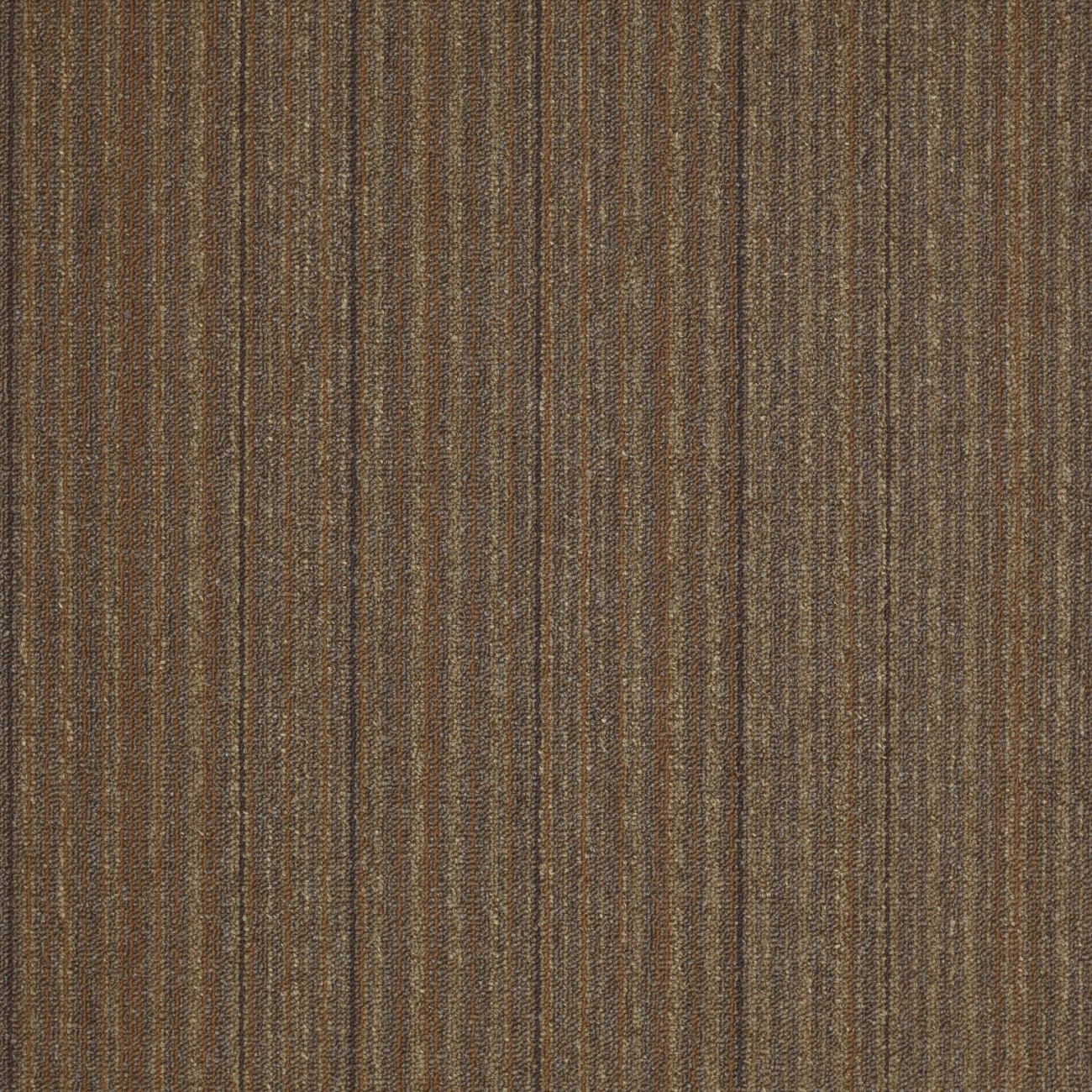Philadelphia Carpet It'S A Miracle - Carpet Tile - 54734_34720
