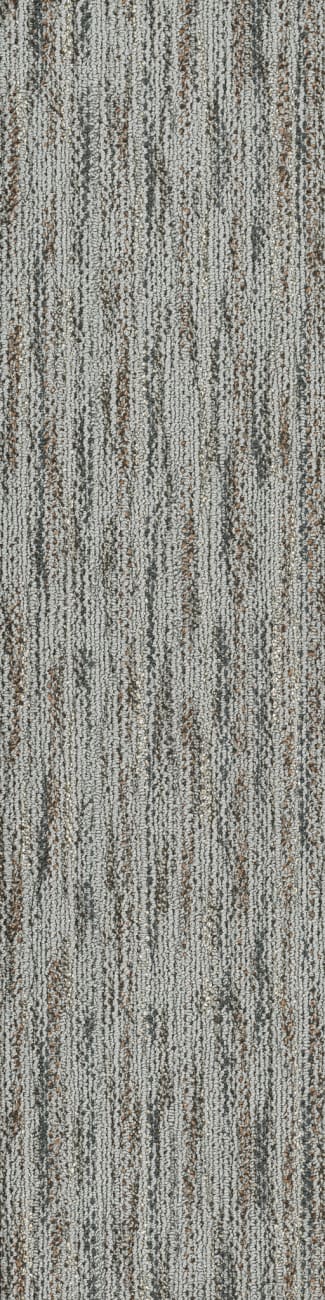 54833_33503 - Philadelphia Contract - Natural Formations - Layers - Pyrite
