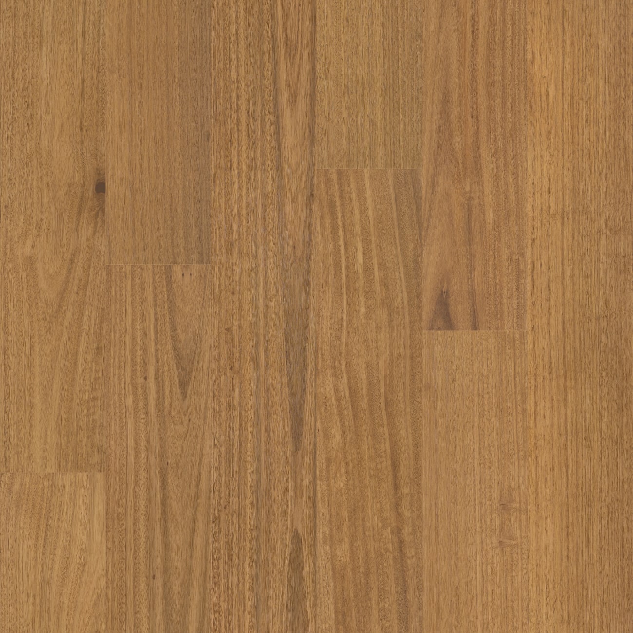 SW790-02088 - Shaw - Bridgewater Eucalyptus - Golden Canopy
