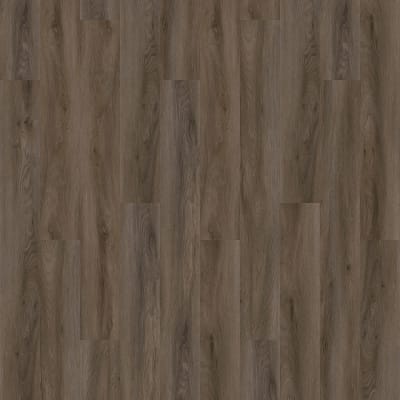 PRS04-868 - Brindle