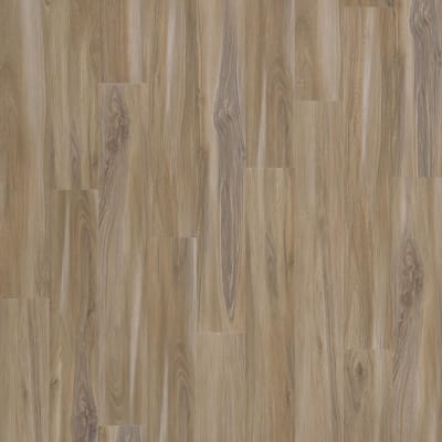 ECS21-382 - Sandy Valley