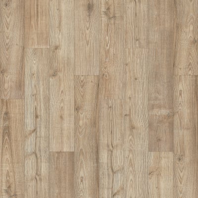 PSR15-859 - Rye Stalk Oak