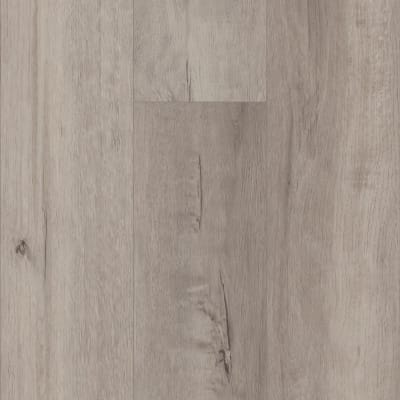 VV662-08002 - Grande Vista Oak