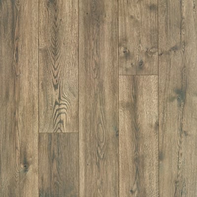 CDL94-04 - Gilded Oak