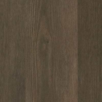 AH034-848 - Forest