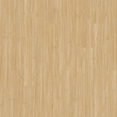 PRS92-222 - Camel