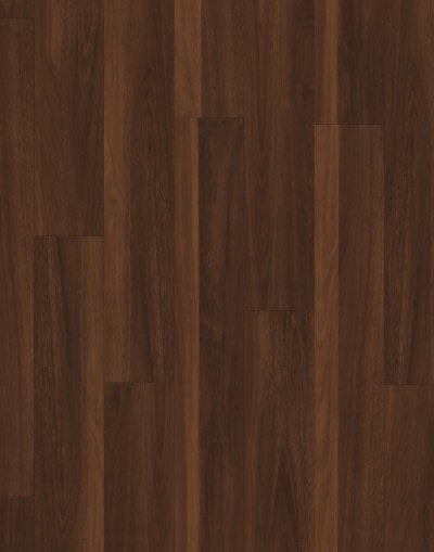 VV017-01008 - Biscayne Oak