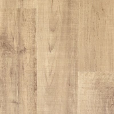 PTL05-449 - Maple Sapling