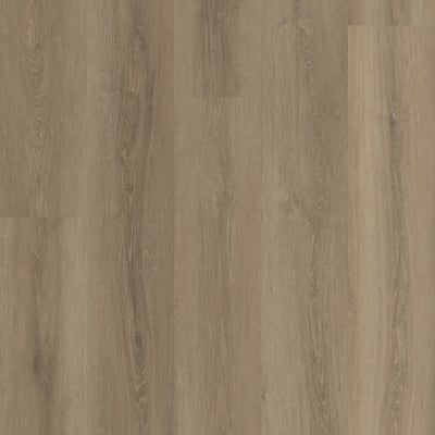 VV662-04029 - Grande Ellidy Oak