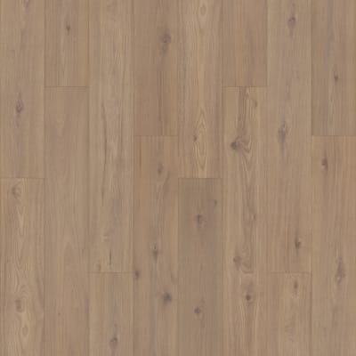 PSR19-833 - Cabin Hickory