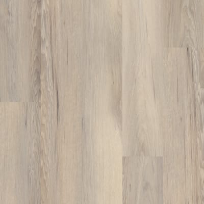 VV585-50012 - Venture Chestnut