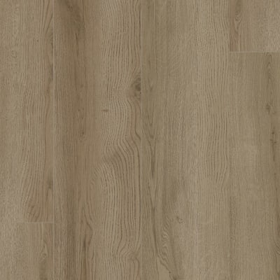 SDS04-858 - Windmont
