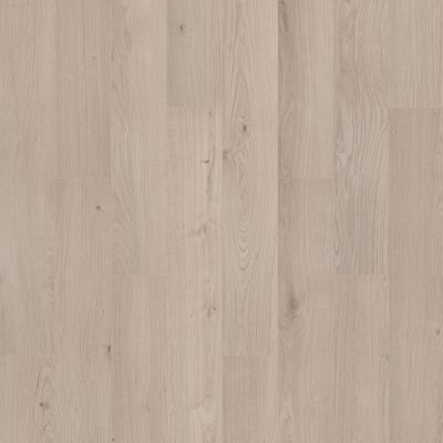 SDS13-941 - Reed
