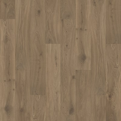 CDL65-869 - Dusk Oak