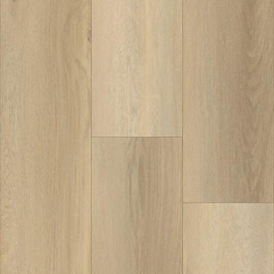 P2244-M2503 - Liverpool Oak