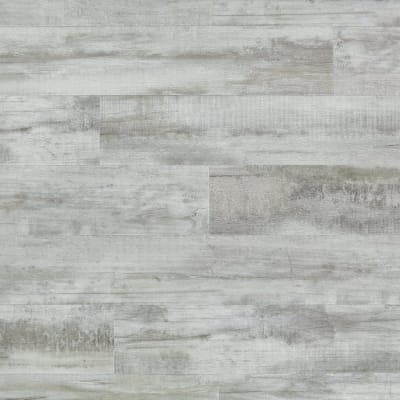 RGR681 - Cape May Shell