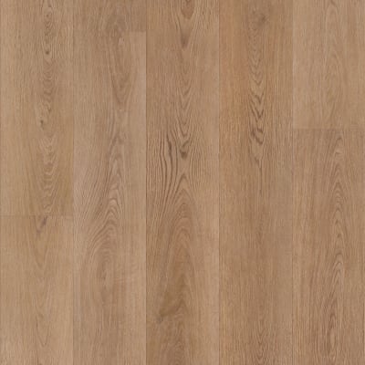 CR500-04058 - Saddle Oak