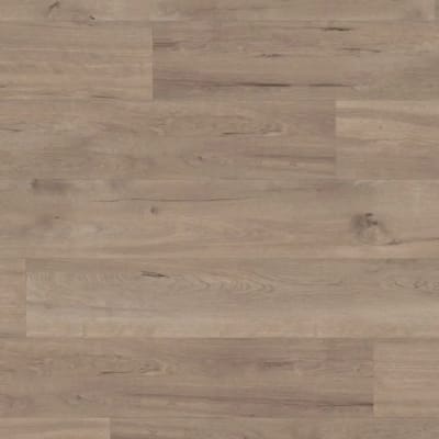 SCB83 - Frosted Birch