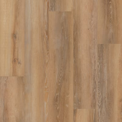 VV457-02908 - Coretta Oak