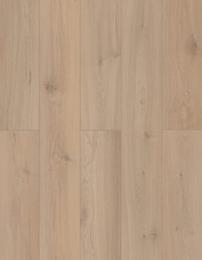 LI-TS207 - Sea Shell