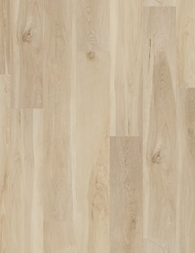 VV704-08005 - Blended Cocoon