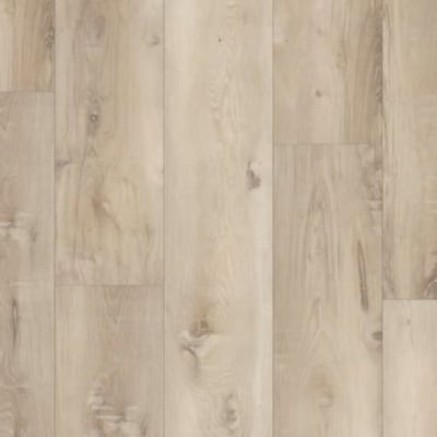 P2239-M6403 - Fountainbleau Oak