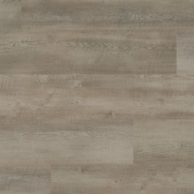 WP413 - Magna