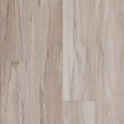APX020 - Spalted Wych Elm Dew