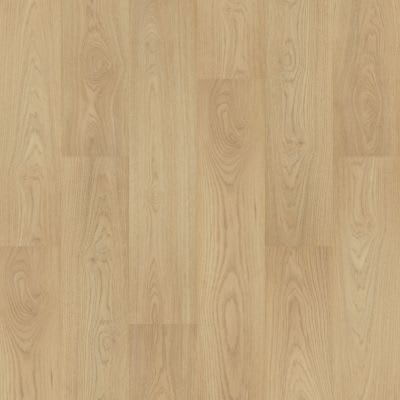 CDL02-232 - Criollo Hickory