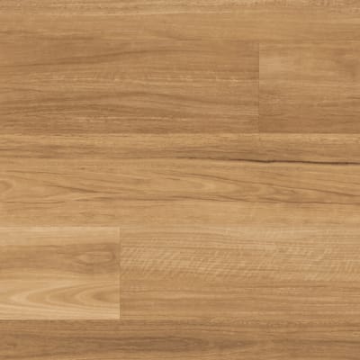 LLP317 - Lemon Spotted Gum