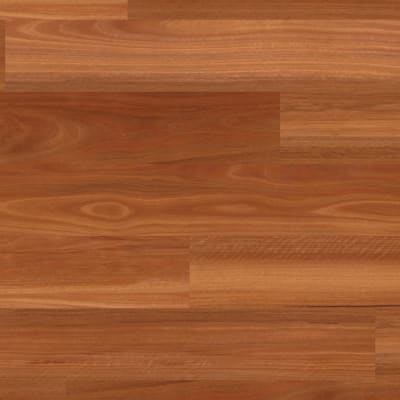 VGW144T-7 - Auburn Spotted Gum
