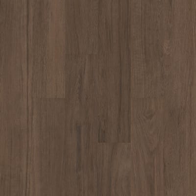 00720-5M403 - Saguaro