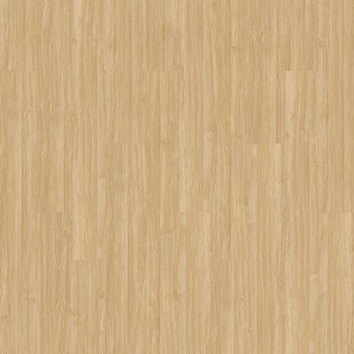 PRS03-222 - Camel
